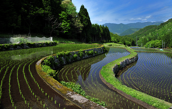 智頭町